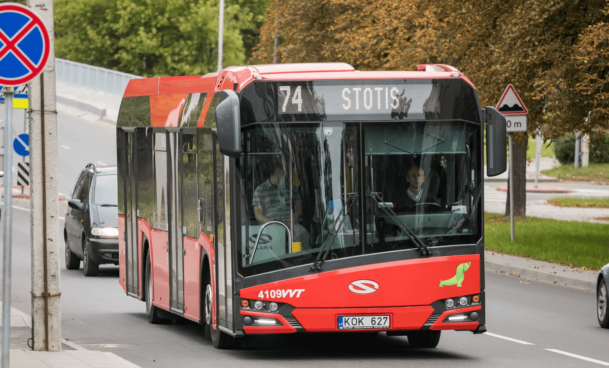 Paslaptinga gražuolė Alina